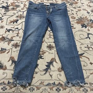 Flying Monkey Distressed Blue Ankle Jeans